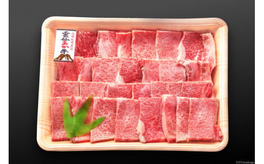 【長崎県 高田牧場】雲仙あか牛 焼肉用 500g