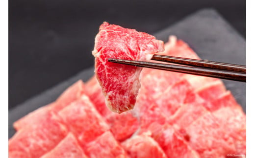 【長崎県 高田牧場】雲仙あか牛 焼肉用 500g